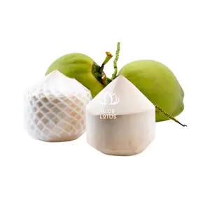 HOT PRODUCT 2023 FRESH GREEN COCONUT FOR DRINKING FROM BLUE LOTUS FARM VIETNAM