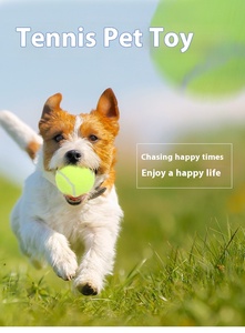 Juguete Masticable para Perros, Pelota de Tenis Elástica Resistente a las Mordidas, Pelota de Entrenamiento para Mascotas, Pelota de Tenis Duradera, Juguete Interactivo para Mascotas de Color Personalizado - Product Image 2