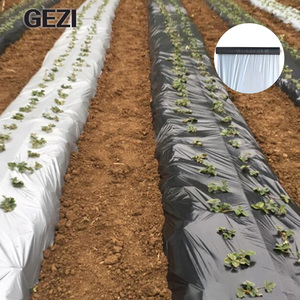 Film de paillage agricole en polypropylène (PP) non tissé biodégradable, <span class=keywords><strong>anti</strong></span>-roussissement, avec trous, noir, pour l'agriculture - Product Image 2
