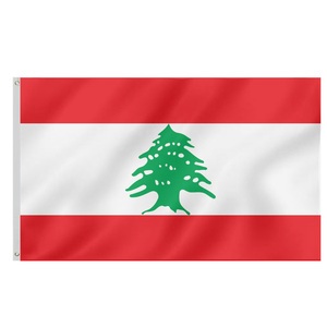 Drapeau national des Émirats arabes unis (EAU) Bannière des pays du Moyen-Orient imprimée en polyester 3x5FT - Product Image 3