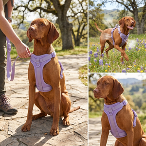 <span class=keywords><strong>Harnais</strong></span> pour animaux de compagnie personnalisé, couleurs macaron, couche d'air, léger, anti-traction, gilet rembourré réglable pour le cou, réduisant la charge, pour l'extérieur - Product Image 5
