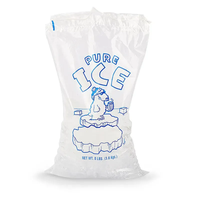 Sacs à Glace en Plastique PE Jetables de Qualité Alimentaire Imprimés sur Mesure avec Cordon de Serrage, Capacités 8lb, 10lb, 15lb, 18lb
