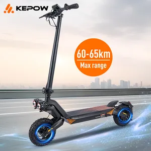 Cina fabbrica 800w motore 48V 15ah batteria al litio off road scooter T8 due ruote adulto pieghevole mobilità scooter elettrico