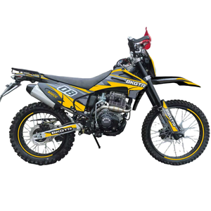 Motocicleta Todoterreno de 300cc, Motor de Gasolina de 4 Tiempos Refrigerado por Aire, Motocross Grande y Económica en Venta - Product Image 6
