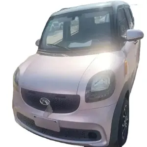 Hot Sale Cheap Electric Mini Car Electric Vehicle Load 4 Person 4 Wheel New Car