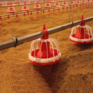 1000 tavuk yeni durum için hava koşullarına dayanıklı galvanizli çelik çerçeve ile büyük kapasiteli tavuk kümesi ev - Product Image 5