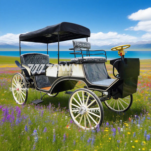 Nouvelle calèche victorienne de haute qualité et abordable pour mariages et visites touristiques avec auvent (modèle 2026) - Product Image 5