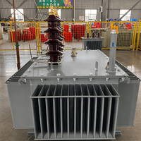 Transformateur de distribution triphasé à haute efficacité avec configuration standard allemande et refroidissement par radiateur