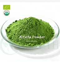 Extrait d'alfalfa naturel en gros d'usine, extrait d'herbe Medicago Sativa, rapport d'extraction multiple pour composé botanique
