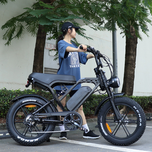 EU <span class=keywords><strong>E</strong></span>-Bike X80 Alarm Hochleistungs-Elektromotor FAT <span class=keywords><strong>E</strong></span>-Bike Direkt Mountain LED Licht OEM Rahmen Akku Ladezeit - Product Image 1