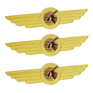 Nhà Sản Xuất Tùy Chỉnh Thiết Kế Kim Loại Hàng Không Học Viện Logo Thương Hiệu Đồng Phục Cánh Ve Áo Pins Chết Đúc Phi Công Quần Áo Hat Huy Hiệu - Product Image 1