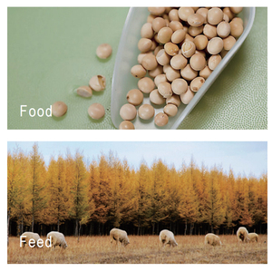 Hiệu quả cao Tự động <span class=keywords><strong>Protein</strong></span> phân tích máy kjeldahl Nitơ xác định Bộ máy tùy chỉnh OEM hỗ trợ-nhanh - Product Image 3