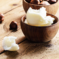 Beurre de karité non raffiné biologique de qualité thérapeutique de haute qualité ingrédients de graines d'odeur fraîche crème en vrac d'huile essentielle pour les soins de la peau