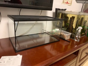 Terrario per rettili in vetro 360 ° HD: involucro traspirante All-in-One per draghi barbuti e altri rettili - Product Image 6