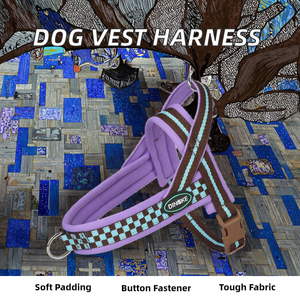 Harnais de chien en polyester pour petits et moyens chiens (Bichon, Shiba Inu) – Utilisation extérieure, fermeture à bouton, rembourré, avec ruban à lettres Hii Pet - Product Image 2