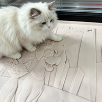 Tapis de litière pour chat de grande taille, antidérapant, facile à nettoyer, attrape-litière, avec logo couleur et tailles personnalisées