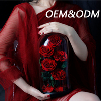 Rose Éternelle Unique Haut de Gamme Longue Durée Fleur Immortelle Préservée sous Dôme en Verre