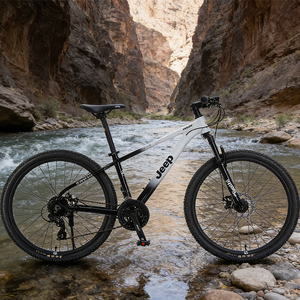 Vélo de route 26 pouces, pneu de type Jeep, jante en aluminium double couche, moyeu <span class=keywords><strong>avant</strong></span> <span class=keywords><strong>dynamo</strong></span>, lumière, aluminium noir, moyeu à cassette à 4 roulements - Product Image 1