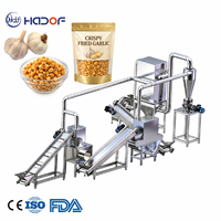 Automatische productielijn voor gefrituurde knoflookvlokken, inclusief snijden, frituren, ontvetten, kruiden en verpakken.