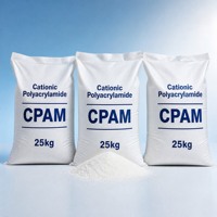 Polyacrylamide cationique CPAM pour le traitement des eaux minières, produit chimique floculant