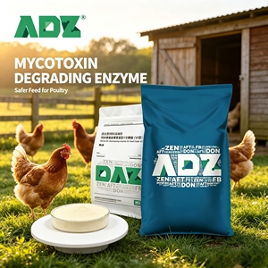Aditivos para Alimento de Aves de Corral, Descomprimen Micotoxinas, Reducen la Proventriculitis y la Candidiasis, Extienden el Período de Pico de Producción de Huevos en Aves de Corral - Product Image 1