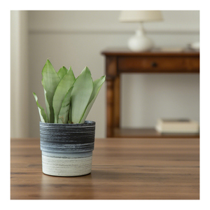 Leizisure, macetas rústicas orientales <span class=keywords><strong>De</strong></span> alta calidad, macetas <span class=keywords><strong>De</strong></span> plástico, macetas <span class=keywords><strong>De</strong></span> plástico <span class=keywords><strong>de</strong></span> cilindro redondo para decoración <span class=keywords><strong>De</strong></span> Escritorio - Product Image 1