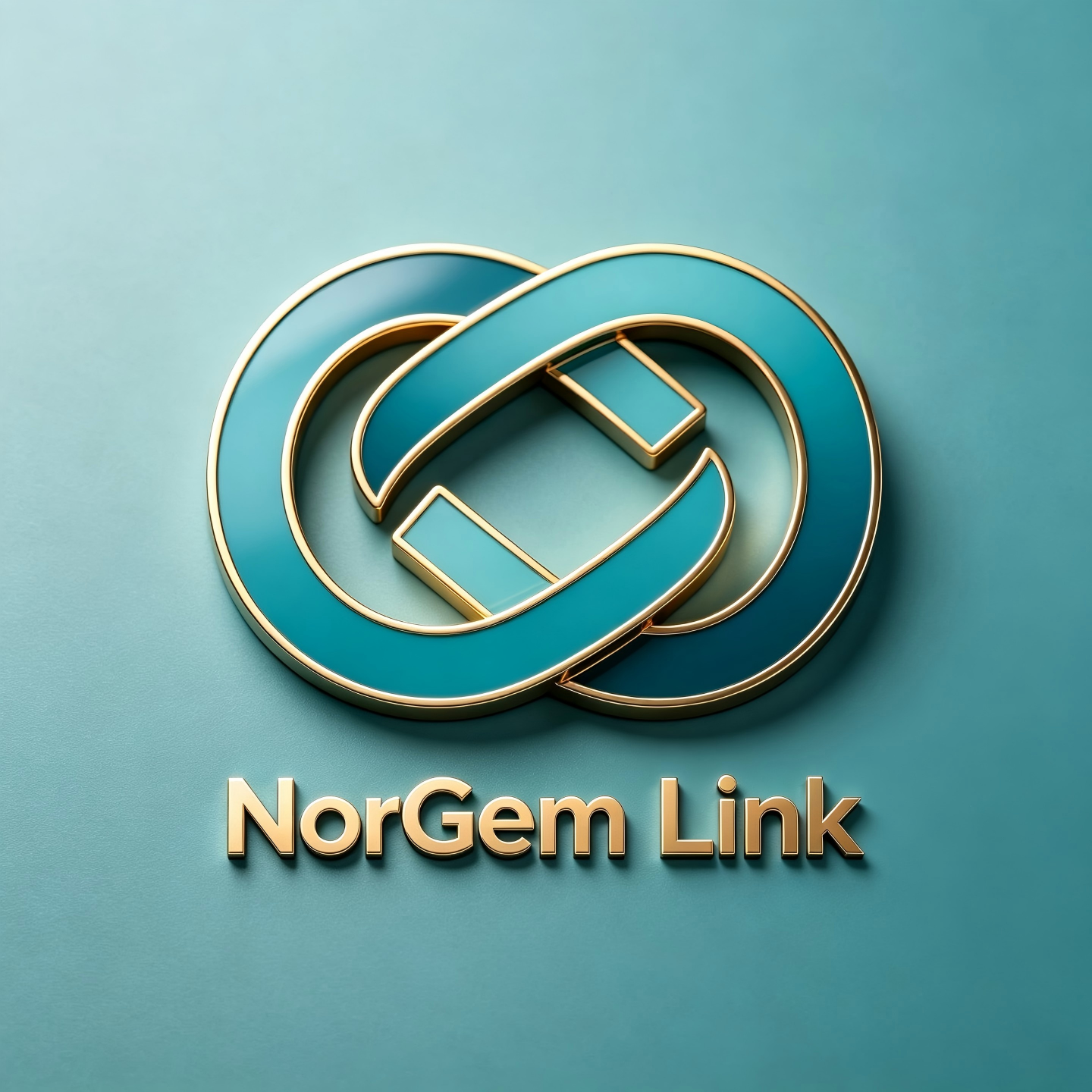 Hangzhou Nuojin Xinyu International Trading Co., Ltd. logo