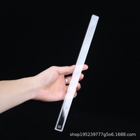 Règle de voyage portable transparente en acrylique pour Mahjong, avec motif d'oiseau