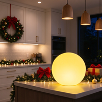 Lampu Bola LED Tenaga Surya 16 Warna Remote Control Warna Impian Multiwarna Dapat Diisi Ulang untuk Dekorasi Rumah Kamar Anak Pohon Natal