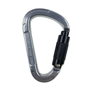 Custom Good Quality 25kn Oval Forged Chrome Plated Steel Carabiner Hook for Climbing