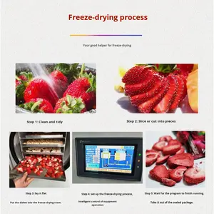 MKK Looking Order Máquina Liofilizadora <span class=keywords><strong>de</strong></span> Alta Gama para Jardín <span class=keywords><strong>de</strong></span> Té y Huerto, con Tecnología <span class=keywords><strong>de</strong></span> Liofilización al Vacío, Materiales <span class=keywords><strong>de</strong></span> Alta Calidad - Product Image 3