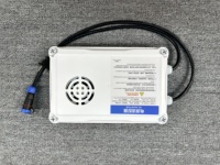 SUNNOVA N1 système autonettoyant de panneau solaire de haute qualité Double tête rotation automatique 24V batterie longue poignée Machine de nettoyage