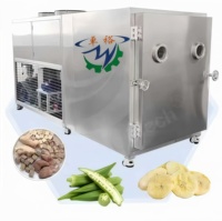 Automatische groente- en fruitvriesdroogmachine motor voedselveilig hoge efficiëntie energiebesparend voor bloemen op maat gemaakt