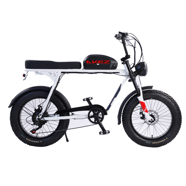 Hot Sale for Adults Warehouse Stocked Cheap Electric Bike 48v Steel Frame with Lithium Battery Disc Brake for Walking Commuting