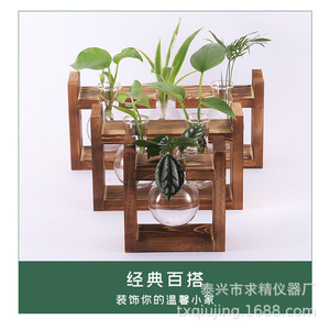 Wooden Hydroponic Test Tube Stand With Glass <b>Vases</b> For Pothos Plants Tabletop Decor Natural Material - Product Image 2
