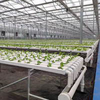 Système hydroponique horizontal NFT de haute productivité Starfarm, canal de culture galvanisé + PVC-U pour la culture des légumes
