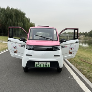 Mini Van elettrico per adulti auto a due porte con cambio automatico 4 ruote nuovo veicolo energetico - Product Image 6