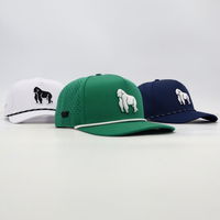 Gorra de 5 Paneles Impermeable con Parche de Goma PVC Personalizado, Logotipo Bordado en 3D, Orificios Perforados, Cierre a Presión, Gorra de Golf con Cuerda, Gorra Trucker