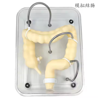 Endoscopie Intestinale pour l'Analyse Pathologique du Colon et de l'Appareil Digestif Humain (CE/ISO)