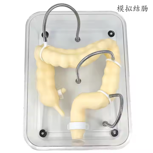 <span class=keywords><strong>Endoscopia</strong></span> Intestinal para Patología Gastrointestinal del Colon Humano, Órgano Digestivo, con Certificación CE/ISO - Product Image 4