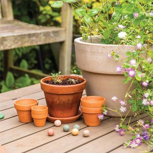 Bombas de flores silvestres orgánicas al por mayor de Venta caliente para hombres y <span class=keywords><strong>mujeres</strong></span> - Product Image 5