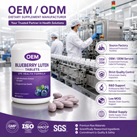 Comprimés de calcium HMB OEM pour améliorer la densité osseuse, complément antioxydant sans gluten, marque privée pour femmes