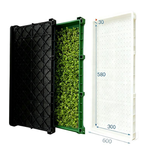Plateaux de semis en plastique réutilisables pour riz, prix de gros, pour serres et germination - Product Image 4