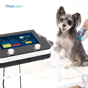 Meilleure vente de machine de thérapie par ondes de choc Eswt avec 5 têtes de traitement pour une solution complète de la douleur des animaux - Product Image 2