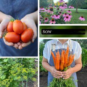 Kit de jardin potager complet de style campagnard moderne, collection de matériaux en fibres végétales pour la plantation sur le bureau à domicile - Product Image 3