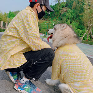 Camiseta a cuadros de Golden Retriever con ropa humana, M-6XL - Product Image 4