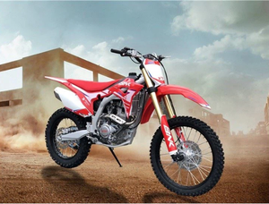 Venta Especial Motocicleta Todoterreno de 250cc Eléctrica/de Gasolina para Adultos, Motor de 4 Tiempos y 250cc, Frenos de Disco Delanteros y Traseros - Product Image 5