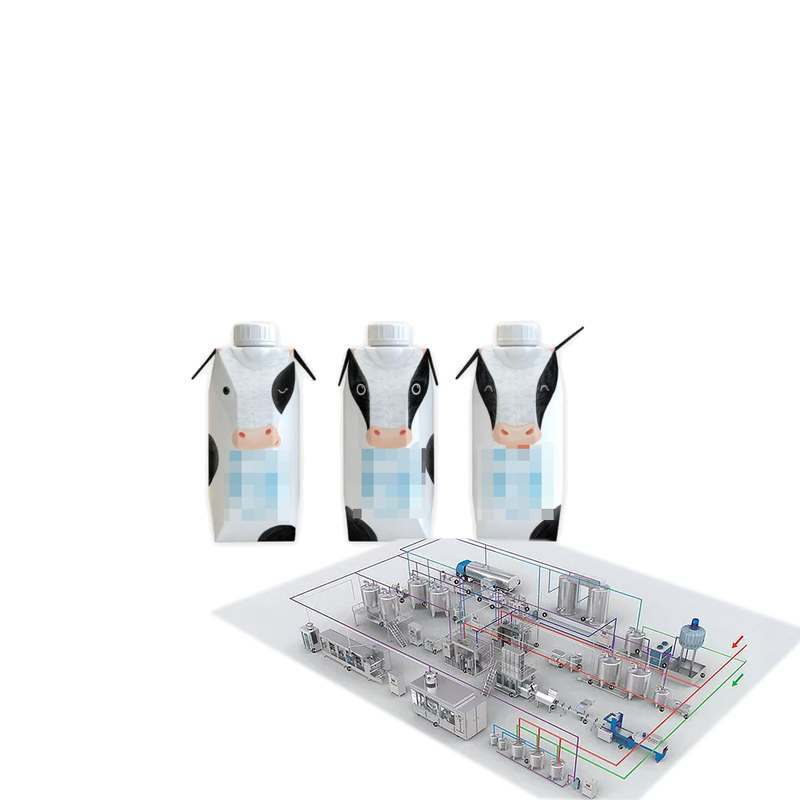 Turkey Milk Processing Plant Condensed Milk