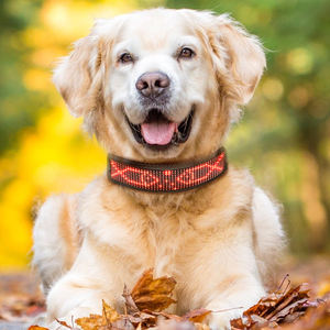 Collar LED personalizado para perros y gatos, recargable por USB, programable, con control por aplicación y pantalla LED - Product Image 5