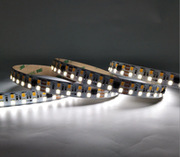 Bande lumineuse LED blanche double SMD 2835 240LED DMX512/UCS512B3 Pixel avec commande vocale en cuivre et mode DMX